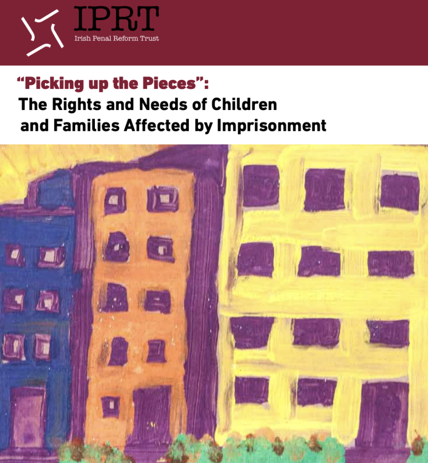 Picking Up the Pieces: The Rights and Needs of Families Affected by ...